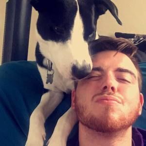 Meet your Posher, Brady